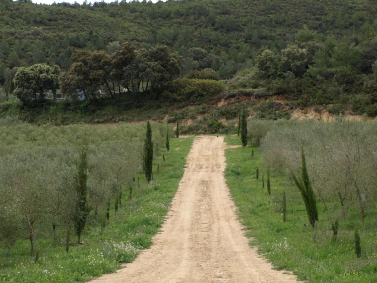 Finca Heredad La Boquilla Enguera Luaran gambar